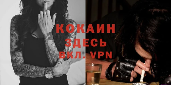 прущие грибы Верхний Тагил