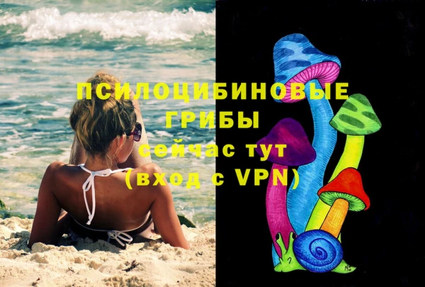 прущие грибы Верхний Тагил