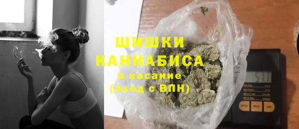 прущие грибы Верхний Тагил