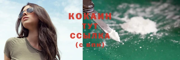 соль ск Волосово