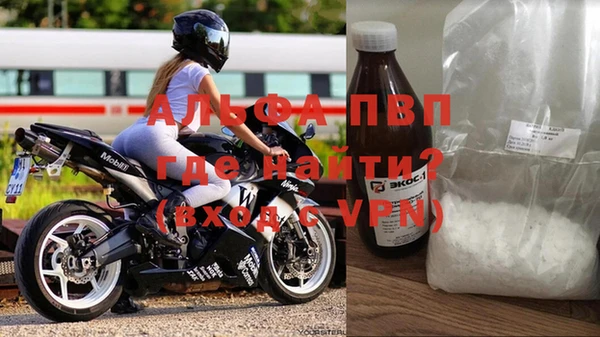 прущие грибы Верхний Тагил