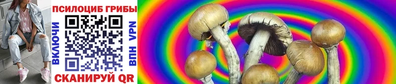 OMG вход  Кимры  Галлюциногенные грибы GOLDEN TEACHER 